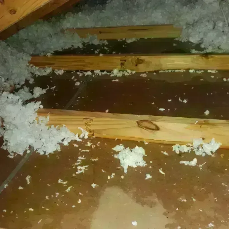 Attic Water Damage in Ashburn, IL