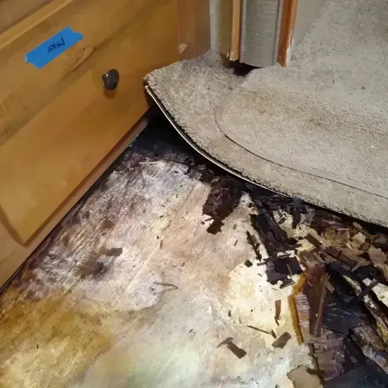 Best Wood Floor Water Damage Service in Ashburn, IL